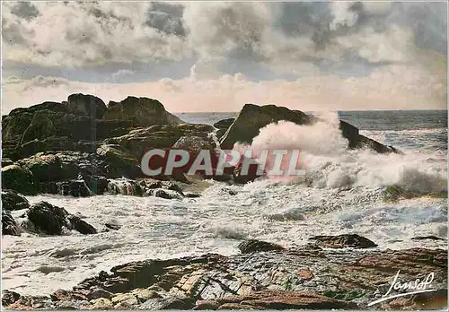 Cartes postales moderne La cote d amour 1004 les rochers de la grande cote