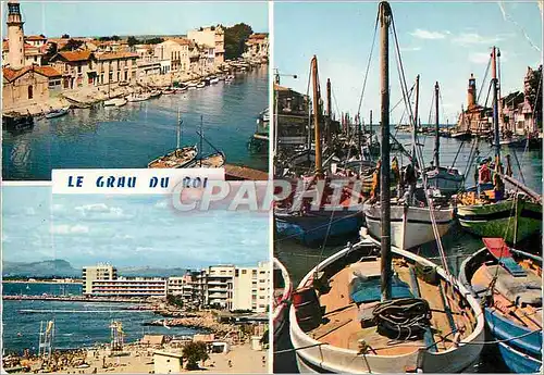 Cartes postales moderne 3466 le grau du roi (gard) Bateaux de peche