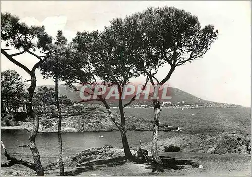 Cartes postales moderne La cote d azur e 72 agay(var) camp long et la pointe de la baumette