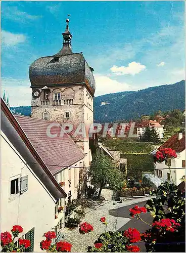 Cartes postales moderne Bregenz