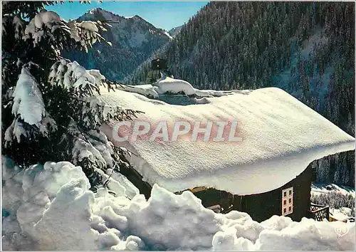 Cartes postales moderne Images de nos montagnes en hiver h 1117 frileusement cache dans la neige