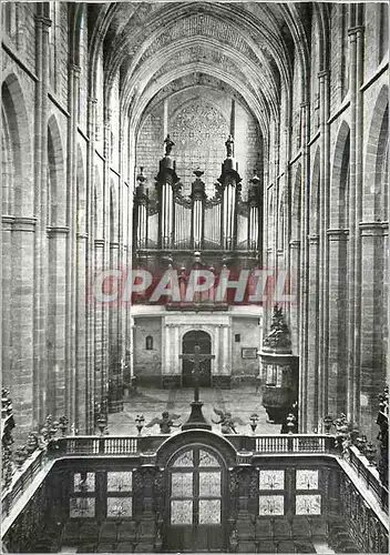 Cartes postales moderne Saint maximin la sainte baume (var) basilique du XIII siecle Orgue