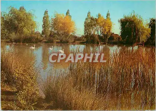Cartes postales moderne Saint pierre de tourtour (var) le lac en automne