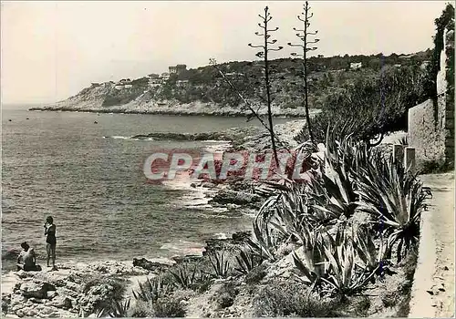 Cartes postales moderne La cote d azur st jean cap ferrat sentier touristique