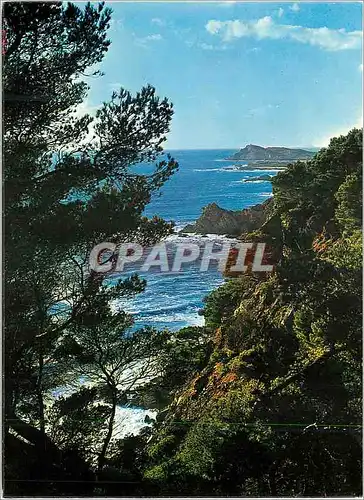 Cartes postales moderne Lumiere et beaute de la cote d azur perspective sur les rivages de la cote varoise