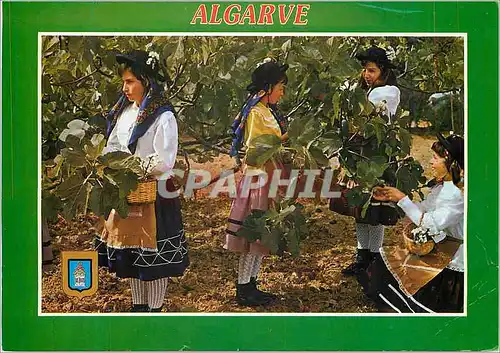 Cartes postales moderne N 196 algarve (portugal) cueillette des figures costumes regionaux