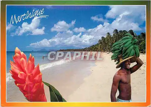 Cartes postales moderne M 36 sous le soleil des caraibes