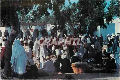 Cartes postales moderne 151 sud tunisien douz le marche