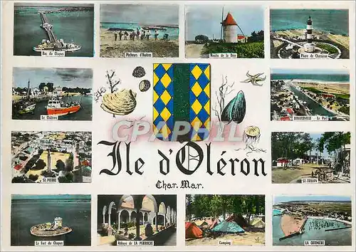 Cartes postales moderne Ile d oleron char mar