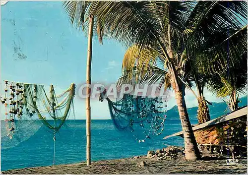 Cartes postales moderne Antilles radieuses filets de peche