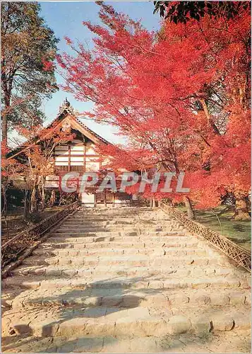 Cartes postales moderne Ryoan ji gaki fence and stone steps