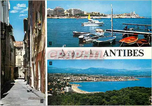 Cartes postales moderne La cote d azur 06 antibes le port de la salice vue prise de la garoupe une vieille rue