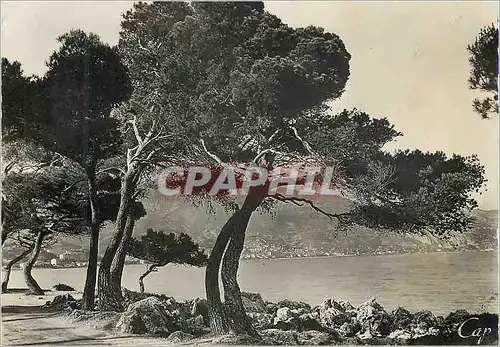 Cartes postales moderne 12923 menton vue prise du cap martin