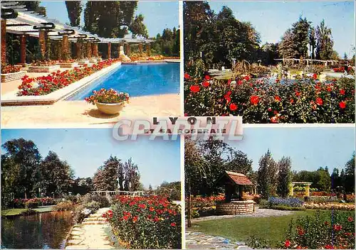 Cartes postales moderne 69 123 125 lyon la roseraie du parc de la tete d or
