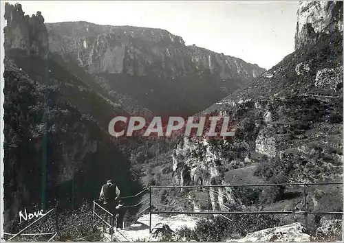 Moderne Karte 0690 vallee de la jonte (lozere)