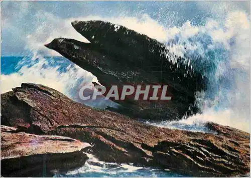 Cartes postales moderne Quiberon(morbihan) 40 le rocher de l aigle