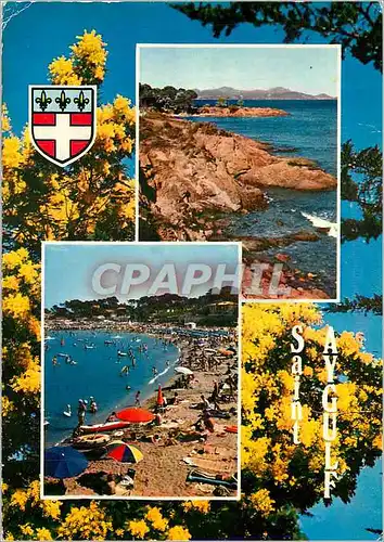 Cartes postales moderne La cote d azur varoise 8 21 saint aygulf(var)