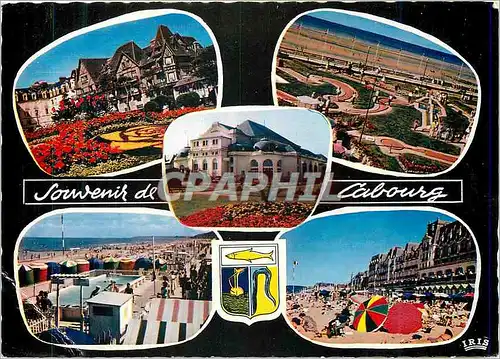 Cartes postales moderne Cabourg 1766 le normandy hotel(mauclerc arch) le golf miniature(bertrand arch) le casino