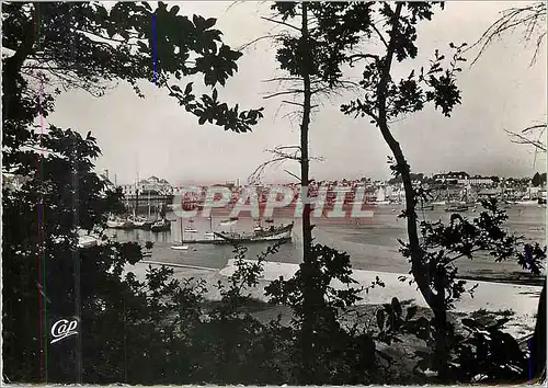 Cartes postales moderne Concarneau le bassin vu du bois de sapin