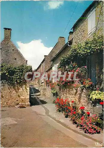 Cartes postales moderne Vallee de la dordogne domme 12 vielles rues et maisons (1er prix concours du village fleuri)