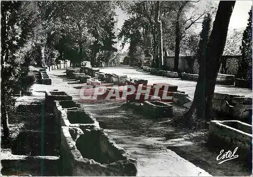 Moderne Karte Arles les alyscamps allee des tombeaux