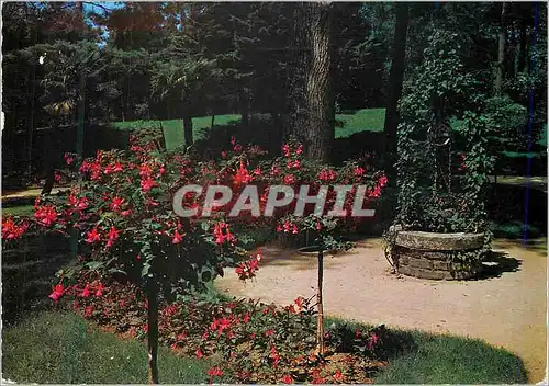Cartes postales moderne 3213 la baule (l atl) la plus belle plage d europe le jardin des dryades