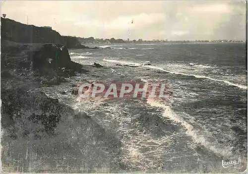 Cartes postales moderne La cote vermeille argeles sur mer (p o) 258 les rochers du racou