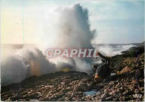 Moderne Karte Cote de beaute 17 265 effet de vagues entre saint palais  et la grande cote