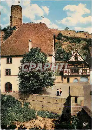 Cartes postales moderne 641 kaysersberg le musee et le chateau