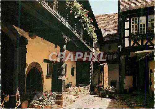 Cartes postales moderne Riquewihr alsace cour des cigognes