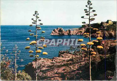 Moderne Karte Reflets de la cote d azur 0600013 les rives de la medilenanee