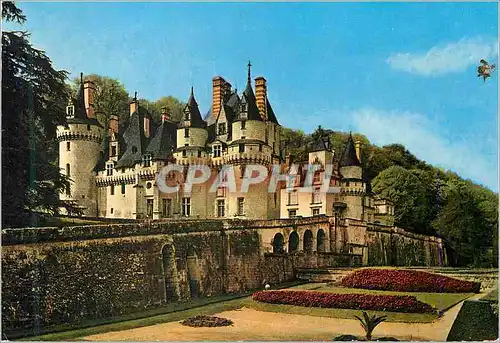 Cartes postales moderne Chateaux de la loire rigny usse (indre et loire) 21 facade est et jardins
