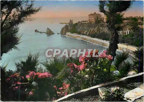 Moderne Karte Biarritz 20 un coin de la cote des basques