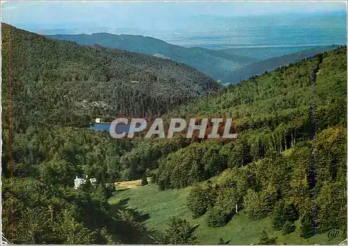 Cartes postales moderne 1195 les hautes vosges lac de la lauch