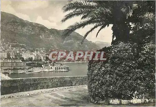 Moderne Karte Cote d azur le casino et le tir aux pigeons de monte carlo vus du rocher de monaco