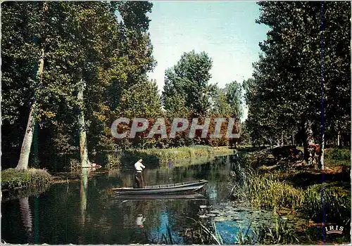 Cartes postales moderne Marais Poitevin La route d'eau de Coulon a la Garette