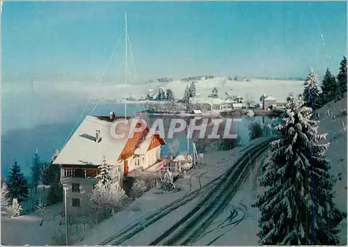 Cartes postales moderne Riviere devant (alt 900 m) par st laurent en grandvaux (39 jura) hotel de l abbaye