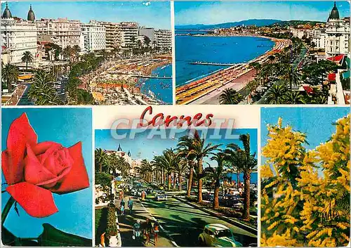 Cartes postales moderne La cote d azur cannes les palaces de la croisette la croisette et le suquet