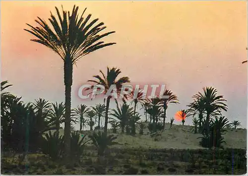 Moderne Karte Tunisie coucher de soleil
