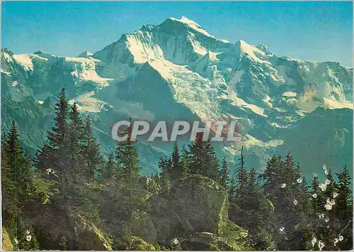 Cartes postales moderne Jungfrau (4166 m)