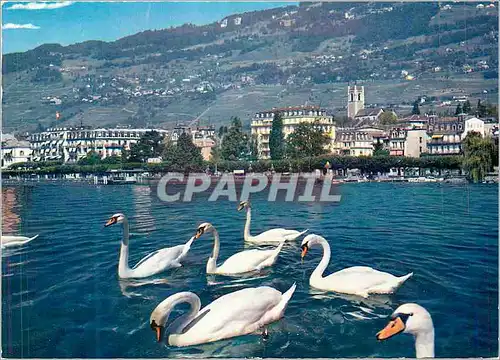 Moderne Karte Vevey 787 la ville vue depuis le quai Cygnes