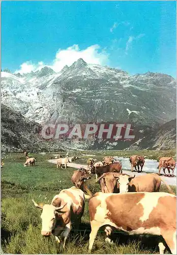 Moderne Karte Gletsch mit rhonegletscher Vaches