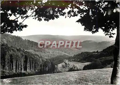 Cartes postales moderne Le donon (b rhin) alt 1008 m d joli paysage vu du col du donon