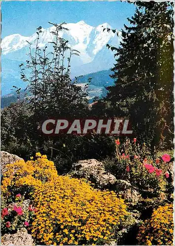 Cartes postales moderne Au pays du mont blanc