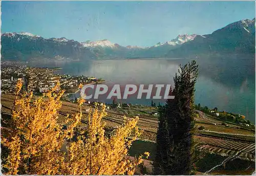 Moderne Karte Vevey Vue generale et les Dents du Midi