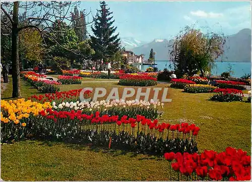 Moderne Karte Montreux Quais fleuris