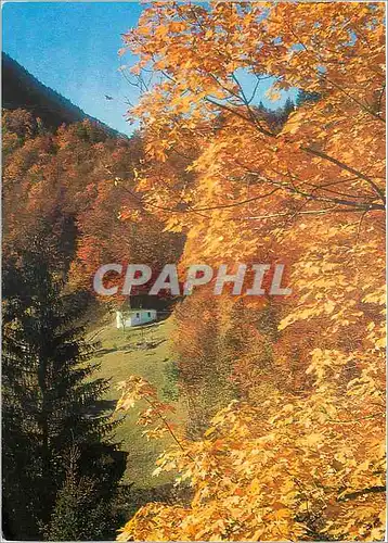 Cartes postales moderne Pro Infirmis Ranft Sachseln