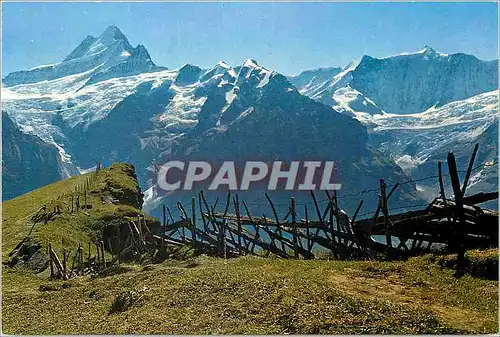 Cartes postales moderne Grindelwald First Schreckhorn und Flescherhorner