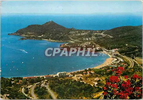 Cartes postales moderne La Cote d Azur Agay Var Vue d ensemble au fond l Ile d Or