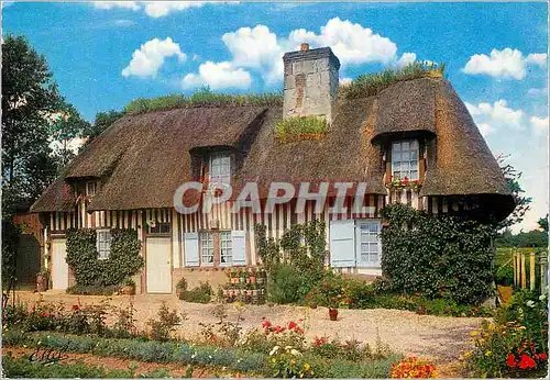 Cartes postales moderne Chaumiere Normande